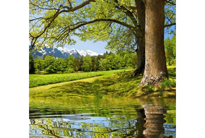 Фотообои «Просторы»