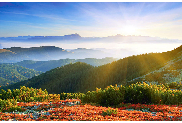 Фотообои «Солнце над горами и лесом в тумане»
