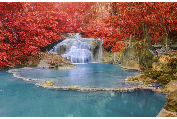 Фотообои «Осенний водопад в лесу»